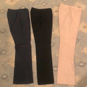 Express columnist pant BUNDLE